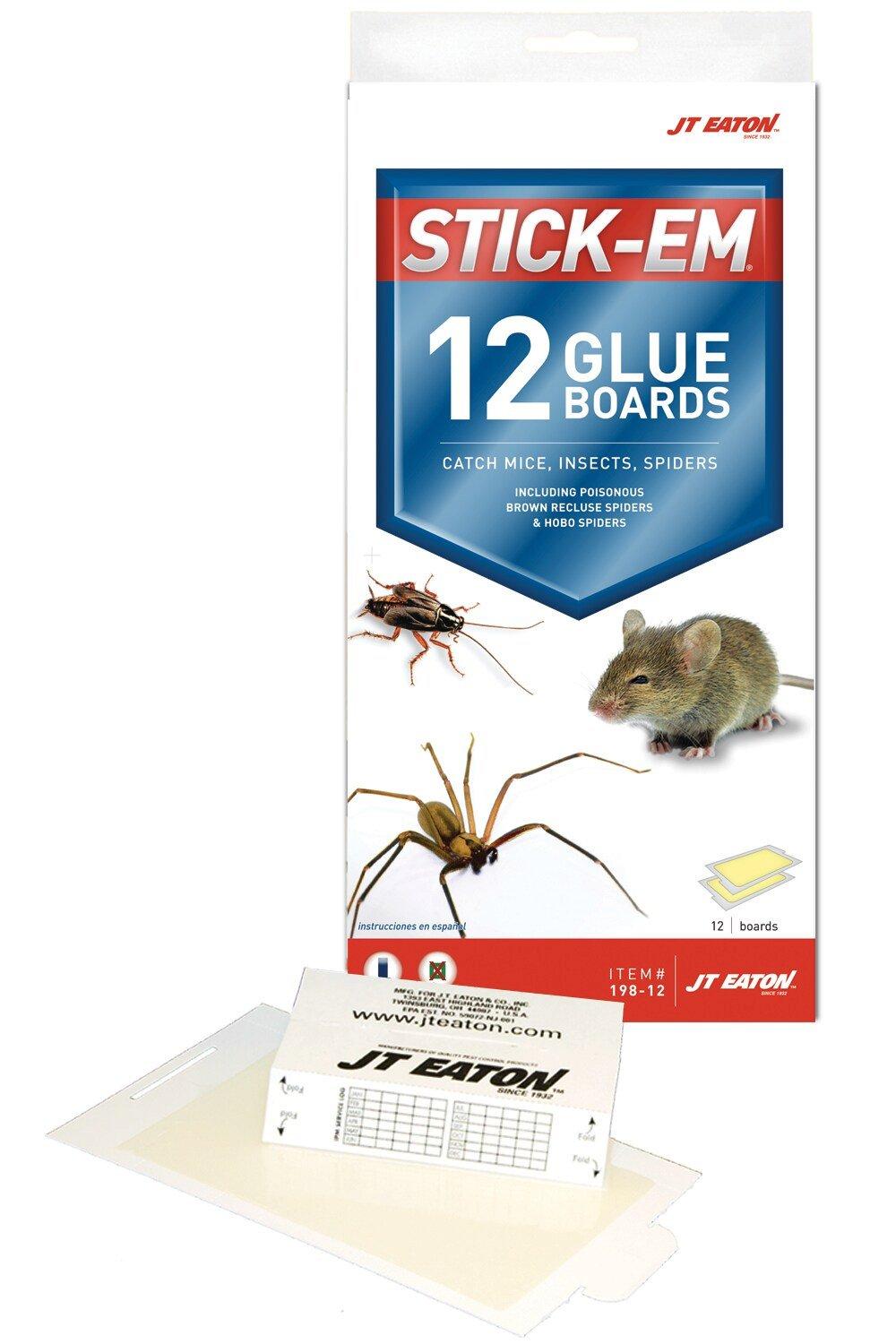 J T Eaton Clear Glue Board for Mice and Insects 