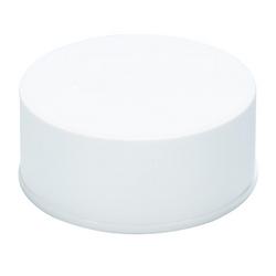 2 in. Solvent Weld Plastic Cap Bag of 50