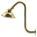 Showerhead in Polished Brass
