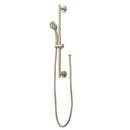 Signature Hardware Brushed Nickel Multi Function Hand Shower 