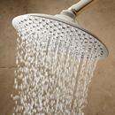 Signature Hardware Brushed Nickel Single Function Rainfall Showerhead 