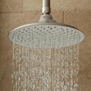 Signature Hardware Brushed Nickel Single Function Rainfall Showerhead 