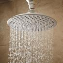 Signature Hardware Brushed Nickel Single Function Rainfall Showerhead 