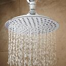 Signature Hardware Polished Chrome Single Function Rainfall Showerhead 
