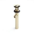 Signature Hardware Polished Brass 2-1/4 in. Bathroom Sink Drain 