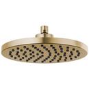 Brizo Luxe Gold Single Function Full Spray Showerhead 