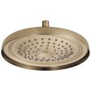 Brizo Luxe Gold Single Function Full Showerhead 