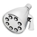 Speakman Polished Chrome Multi-function Showerhead 