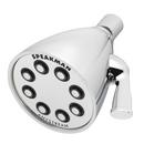 Speakman Polished Chrome Multi Function Drenching Full Spray, Full and Gentle Rain Showerhead 