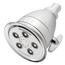 Speakman Polished Chrome Multi Function Full and Massage Jet Showerhead 