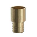 Jones Stephens Brass Brass PEX Crimp x MPT Adapter 