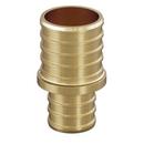 Jones Stephens Brass Brass PEX Crimp Coupling 