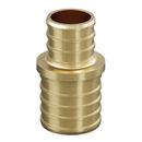 Jones Stephens Brass Brass PEX Crimp Coupling 
