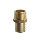 Jones Stephens Brass Brass PEX Crimp x MPT Adapter 