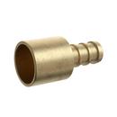 1/2 in. Brass PEX Crimp x 3/4 in. Male Sweat Adapter