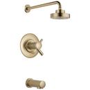 Two Handle Single Function Bathtub & Shower Faucet in Luxe Gold (Trim Only)