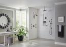 Brizo Luxe Steel 1/2 x 10 x 2-3/8 in. NPT Shower Arm and Flange 