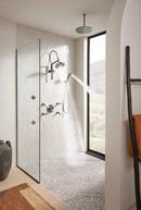 Brizo Luxe Steel 1/2 x 10 x 2-3/8 in. NPT Shower Arm and Flange 