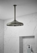 Brizo Luxe Steel 1/2 x 10 x 2-3/8 in. NPT Shower Arm and Flange 
