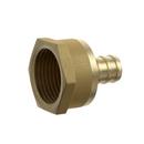 Jones Stephens Brass PEX x FIP Brass Adapter 