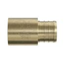 Jones Stephens Brass Brass PEX Crimp x MPT Adapter 