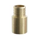 Jones Stephens Brass Brass PEX Crimp x MPT Adapter 