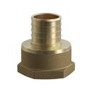 Jones Stephens Brass Brass PEX Crimp x FPT Adapter 