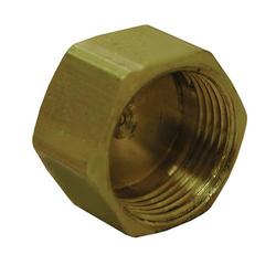 1/4 in. Brass Compression Cap