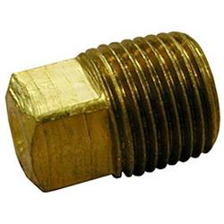 1 in. Bronze Plug with Square Head