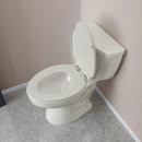 Jones Stephens Biscuit Elongated Closed Front with Cover Toilet Seat 