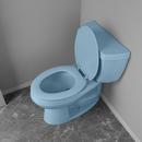 Elongated Closed-Front Toilet Seat and Lid in Regency Blue Wood 