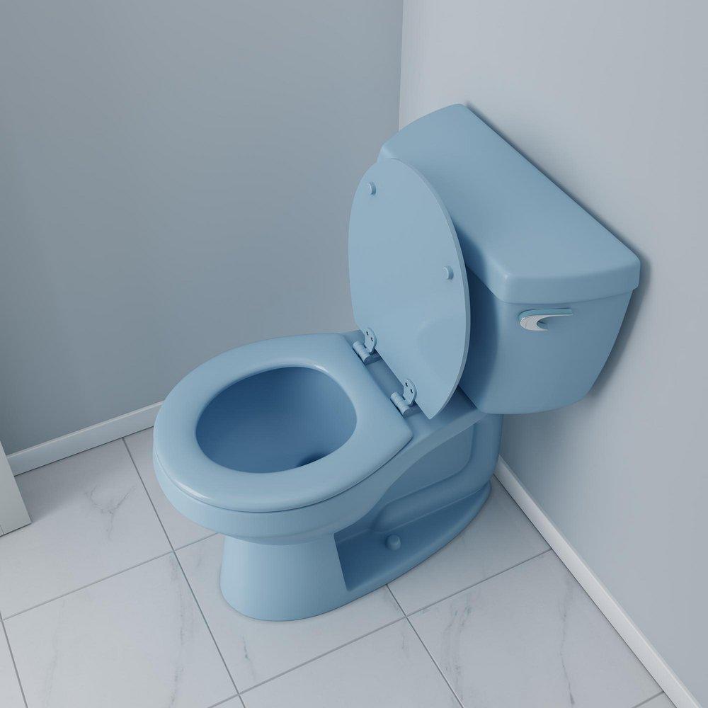 Round Closed-Front Toilet Seat and Lid in Regency Blue Wood 