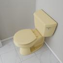 Round Closed-Front Toilet Seat and Lid in Citron Yellow Wood 
