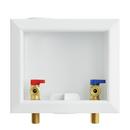 Jones Stephens White 3-17/25 x 7-11/100 x 7-83/100 in. Washing Machine Supply Box 