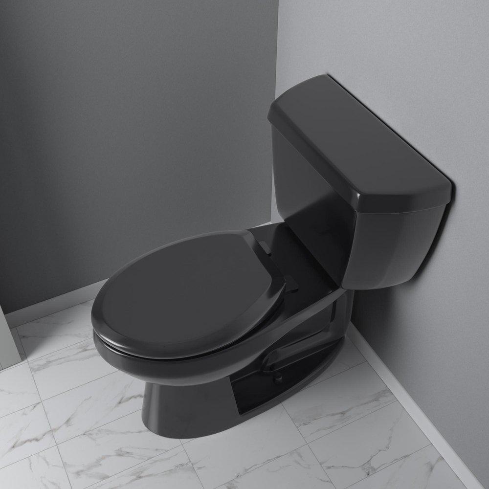 Elongated Closed Front Toilet Seat in Black 
