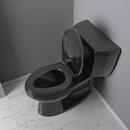 Elongated Closed Front Toilet Seat in Black 