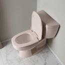 Elongated Square Closed Front Toilet Seat with Slow-Close in Bone 