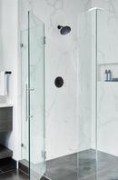 Moen Brushed Gold Single Function Full Showerhead 