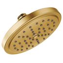 Moen Brushed Gold Single Function Full Showerhead 