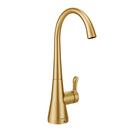 Moen Brushed Gold 1.5 gpm 1 Hole Deck Mount Beverage Faucet with Single Lever Handle 