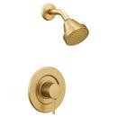 One Handle Single Function Shower Faucet in Brushed Gold (Trim Only)