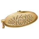 Moen Brushed Gold Dual Function Rain and Rinse Showerhead 
