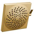 Dual Function Showerhead in Brushed Gold