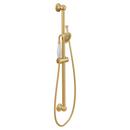 Single Function Hand Shower in Brushed Gold
