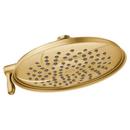 Dual Function Showerhead in Brushed Gold