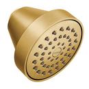 Moen Brushed Gold Single Function Full Showerhead 