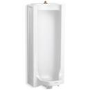 KOHLER White Washdown Urinal 