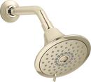 Multi Function Showerhead in Vibrant® French Gold