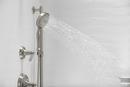KOHLER Vibrant&reg; Brushed Nickel Multi Function Hand Shower 