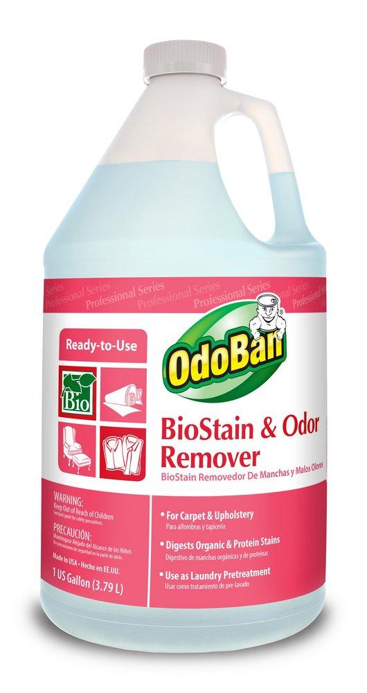 Clear 1 gal Biostain and Odor Remover 